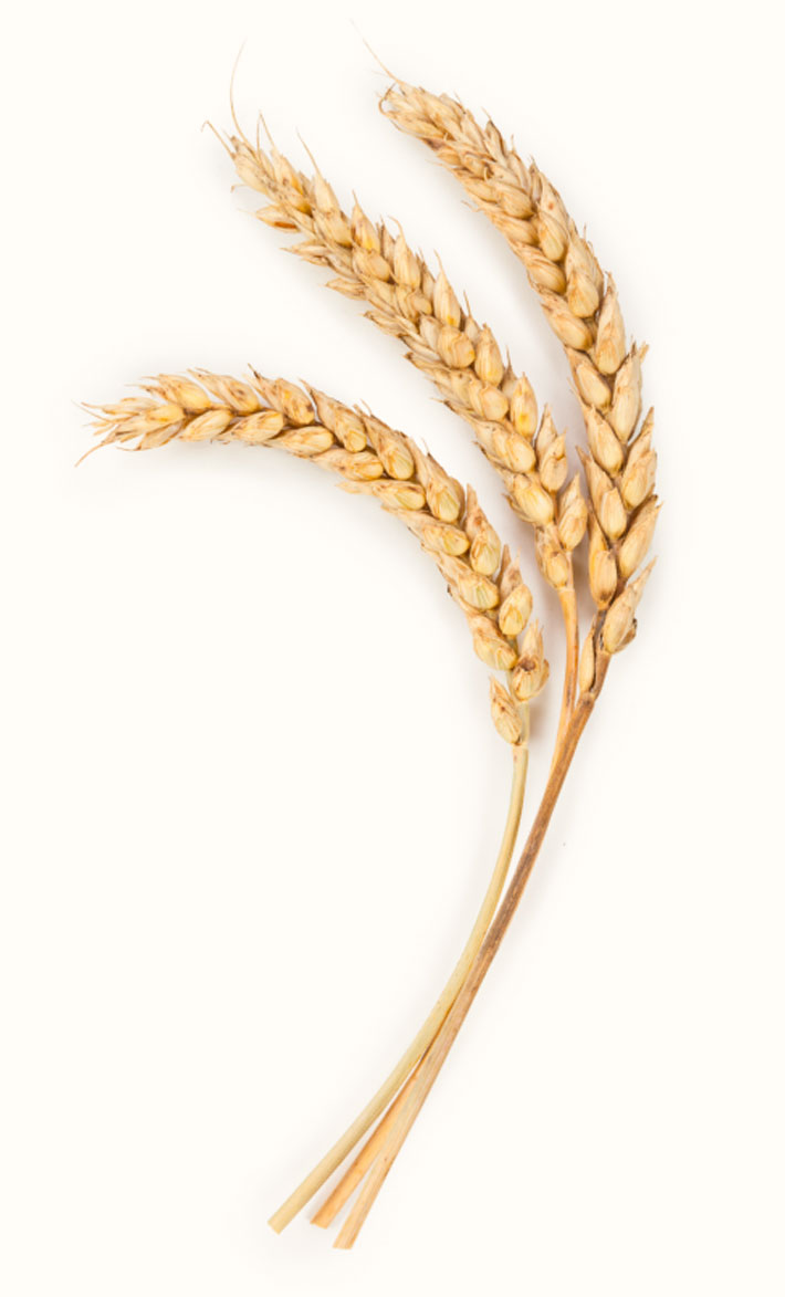Bongrì without yeast