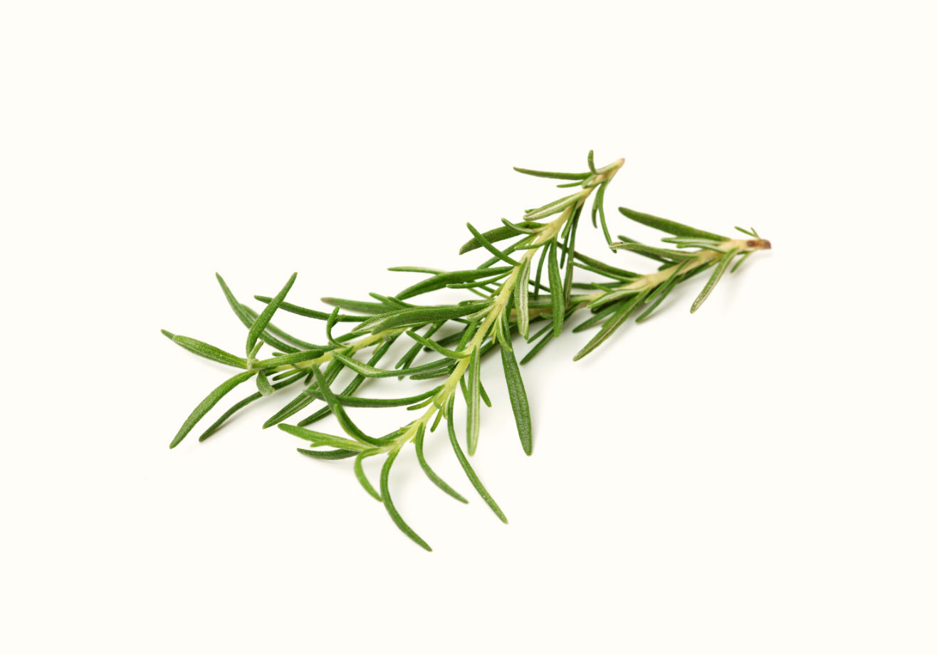 Rosemary
