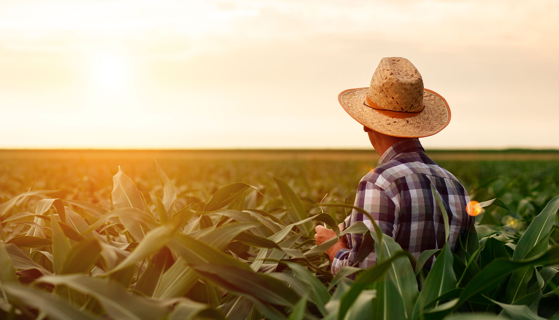 Pourquoi Bio ? Manger bio : quels bienfaits ?